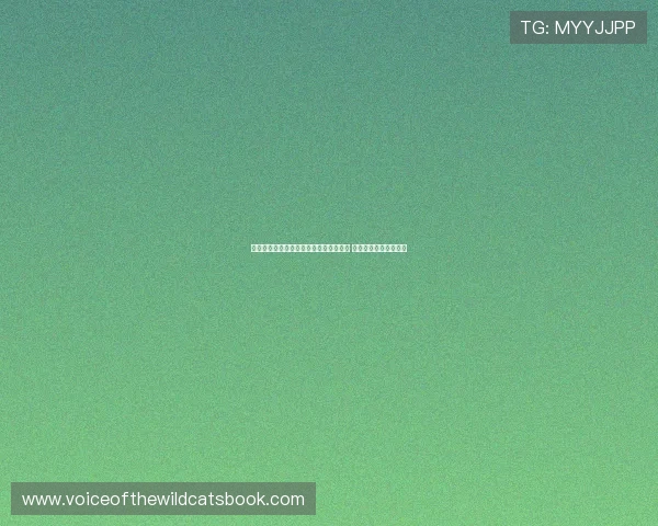 巴贝尔:拜仁迪亚斯有能力全力展现实力 塔为现今德国顶级中卫 巴贝尔:拜仁迪亚斯有能力全力展现实力 塔为现今德国顶级中卫