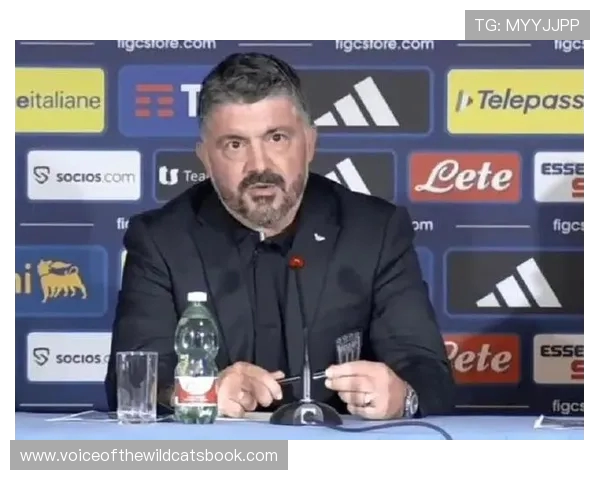 意大利国家队教练组夏季巡回继续 加图索重返米兰内洛引发关注 意大利国家队教练组夏季巡回继续 加图索重返米兰内洛引发关注