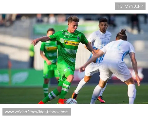 时隔2661天汉堡重返德甲 对阵门兴迎来首场较量