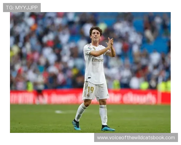 西媒曝皇家社会欲出售奥德里奥索拉但未收到其他俱乐部兴趣 西媒曝皇家社会欲出售奥德里奥索拉但未收到其他俱乐部兴趣