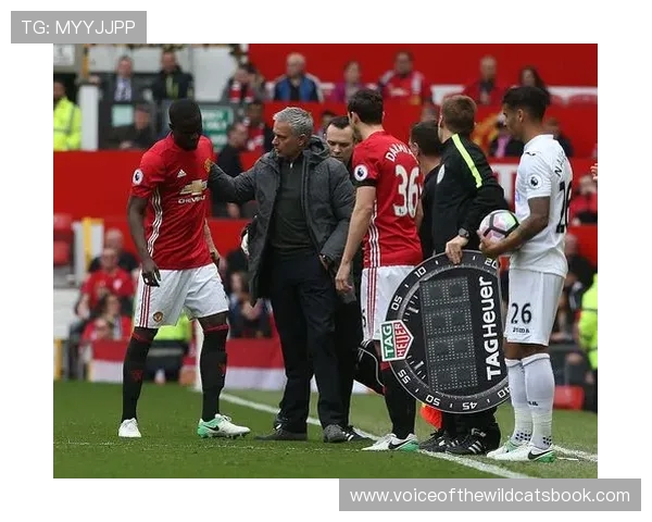 迪马:米兰考虑引进福伊特和乔戈麦斯作为中卫补强目标 迪马:米兰考虑引进福伊特和乔戈麦斯作为中卫补强目标