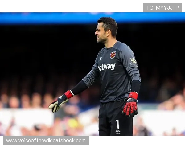 波兰门将法比安斯基重返西汉姆联与球队签约一年