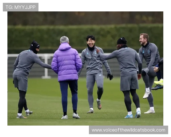 热刺将在欧冠剩余赛程中亮相蚂蚁森林背部广告合作 热刺将在欧冠剩余赛程中亮相蚂蚁森林背部广告合作