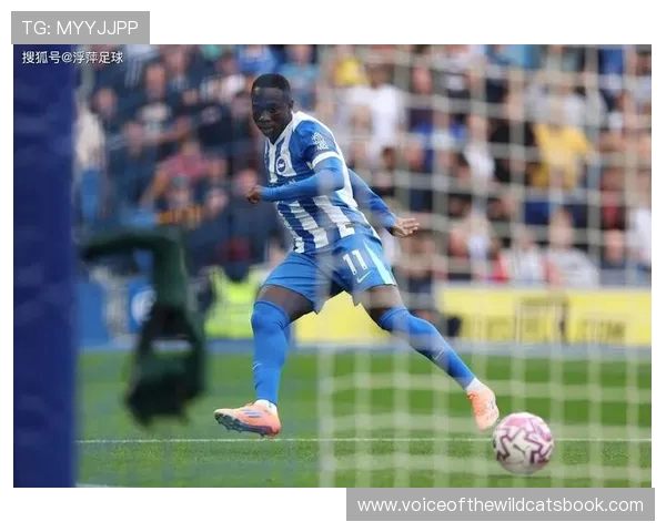 维尔贝克闪击建功布莱顿半场领先利兹联明特多次制造威胁 维尔贝克闪击建功布莱顿半场领先利兹联明特多次制造威胁