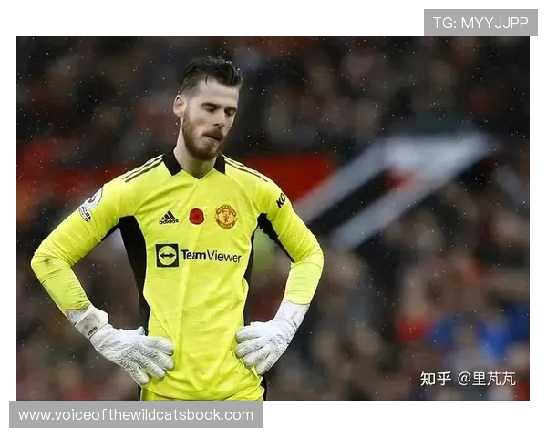 德赫亚坦言在意大利踢球是梦想亦感叹曼联时期与家人相聚艰难经历